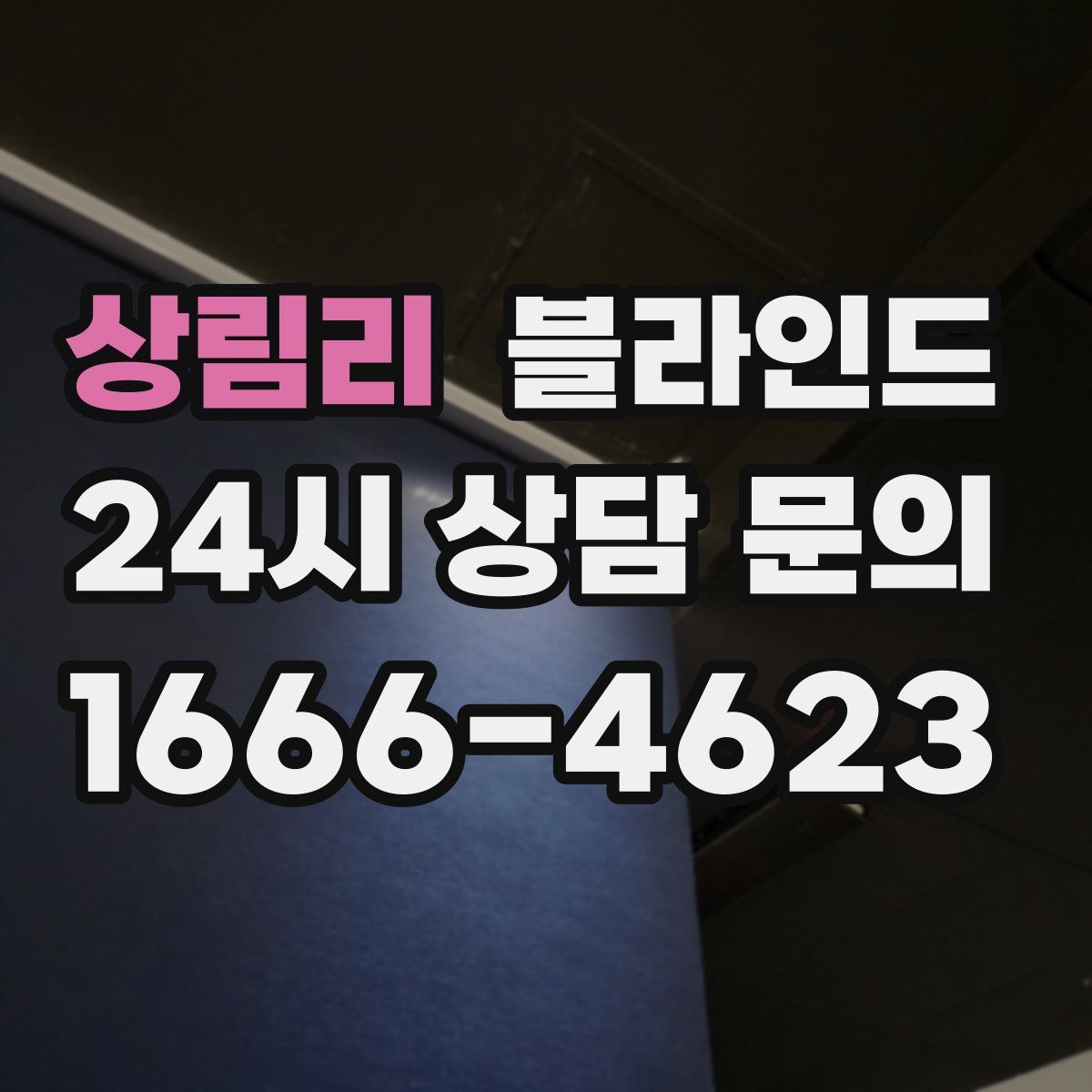 상림리 블라인드