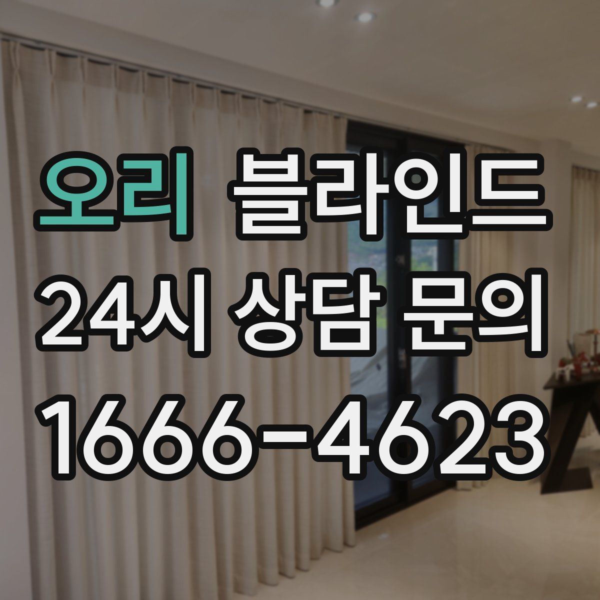 오리 블라인드
