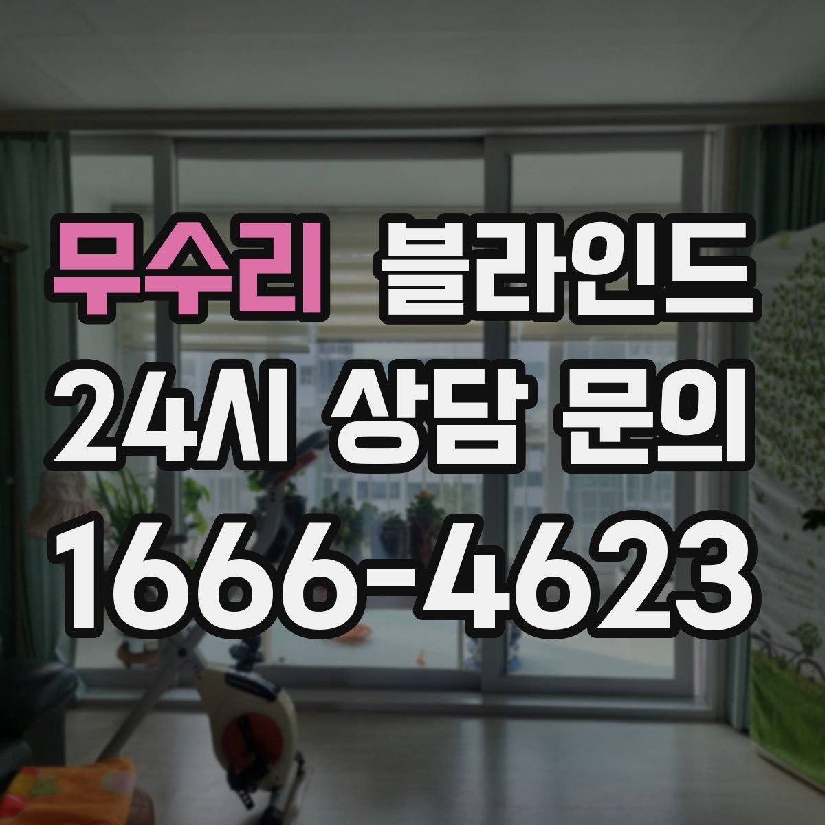 무수리 블라인드