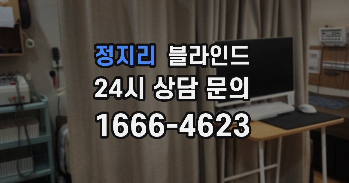 정지리 블라인드