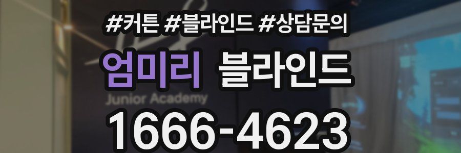 엄미리 블라인드