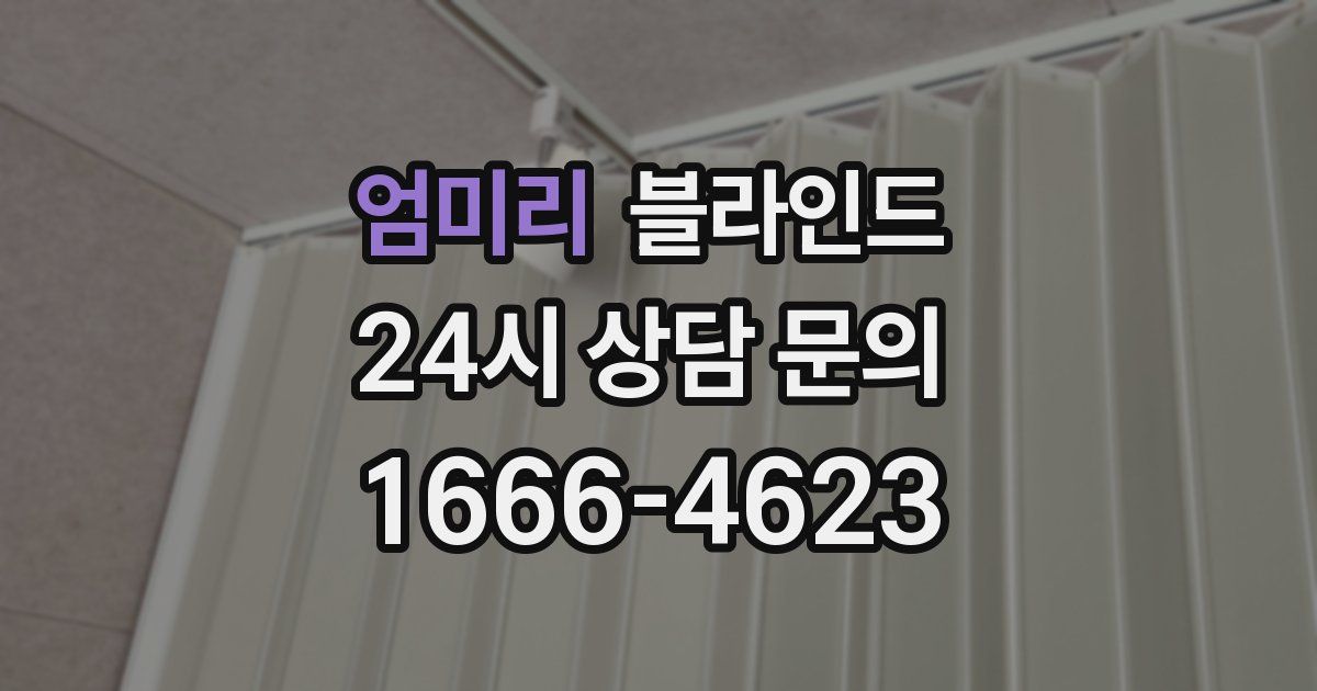 엄미리 블라인드
