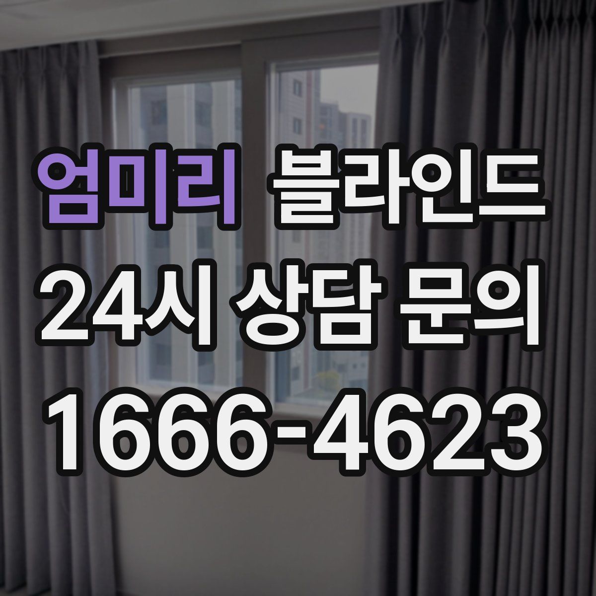 엄미리 블라인드