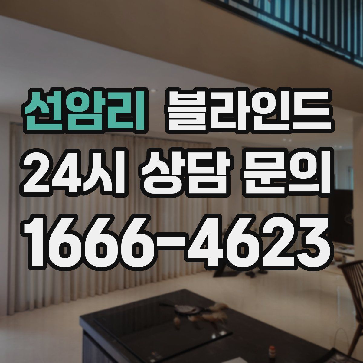 선암리 블라인드