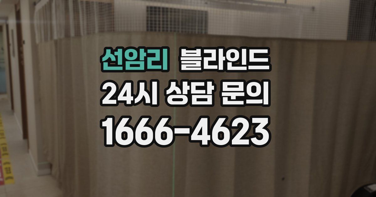 선암리 블라인드