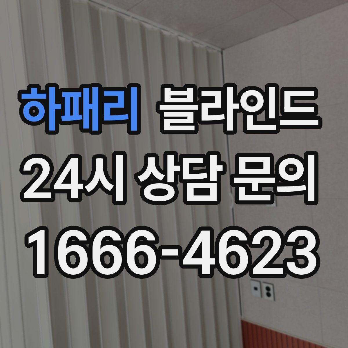 하패리 블라인드