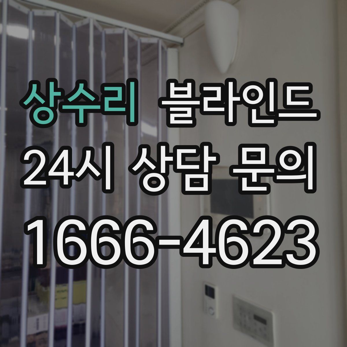 상수리 블라인드