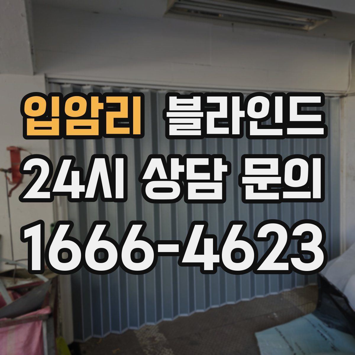 입암리 블라인드
