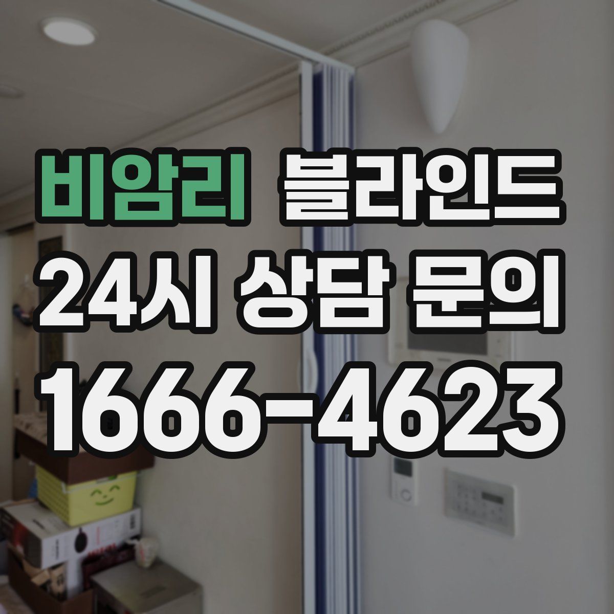 비암리 블라인드