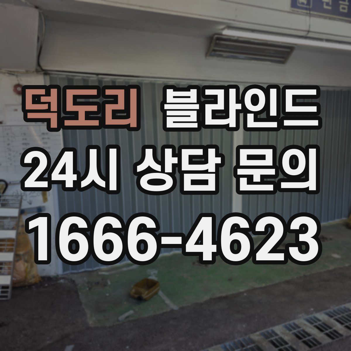 덕도리 블라인드
