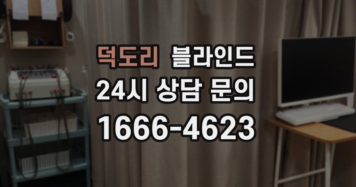 덕도리 블라인드