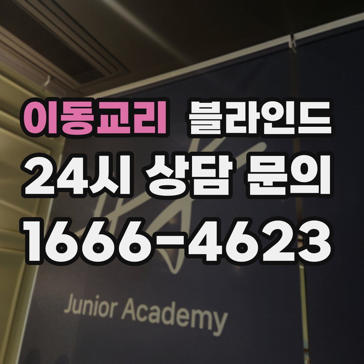 이동교리 블라인드