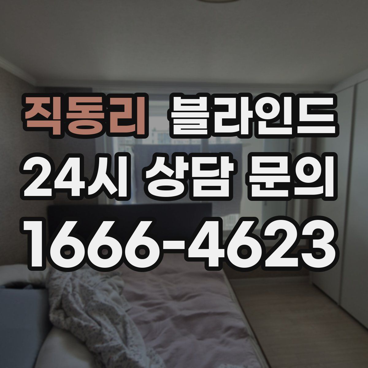직동리 블라인드