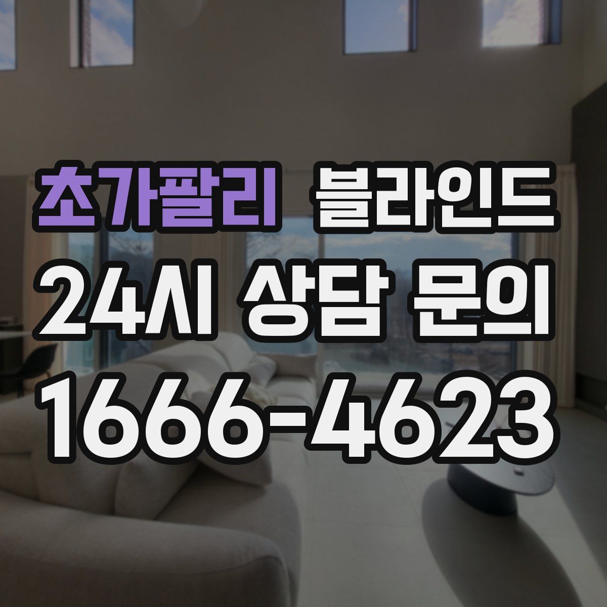 초가팔리 블라인드