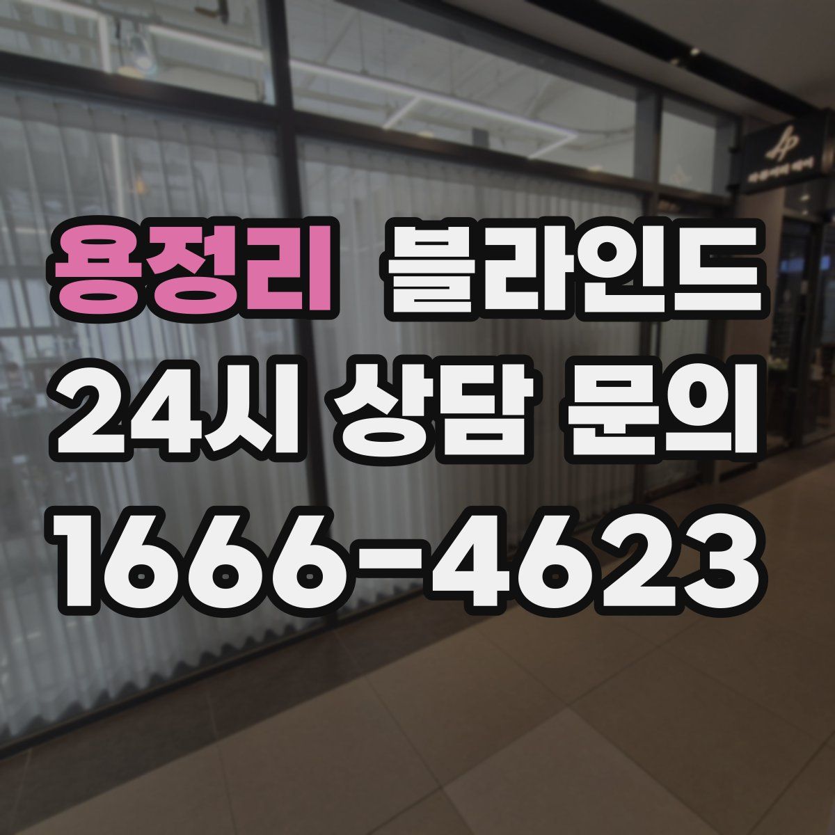 용정리 블라인드