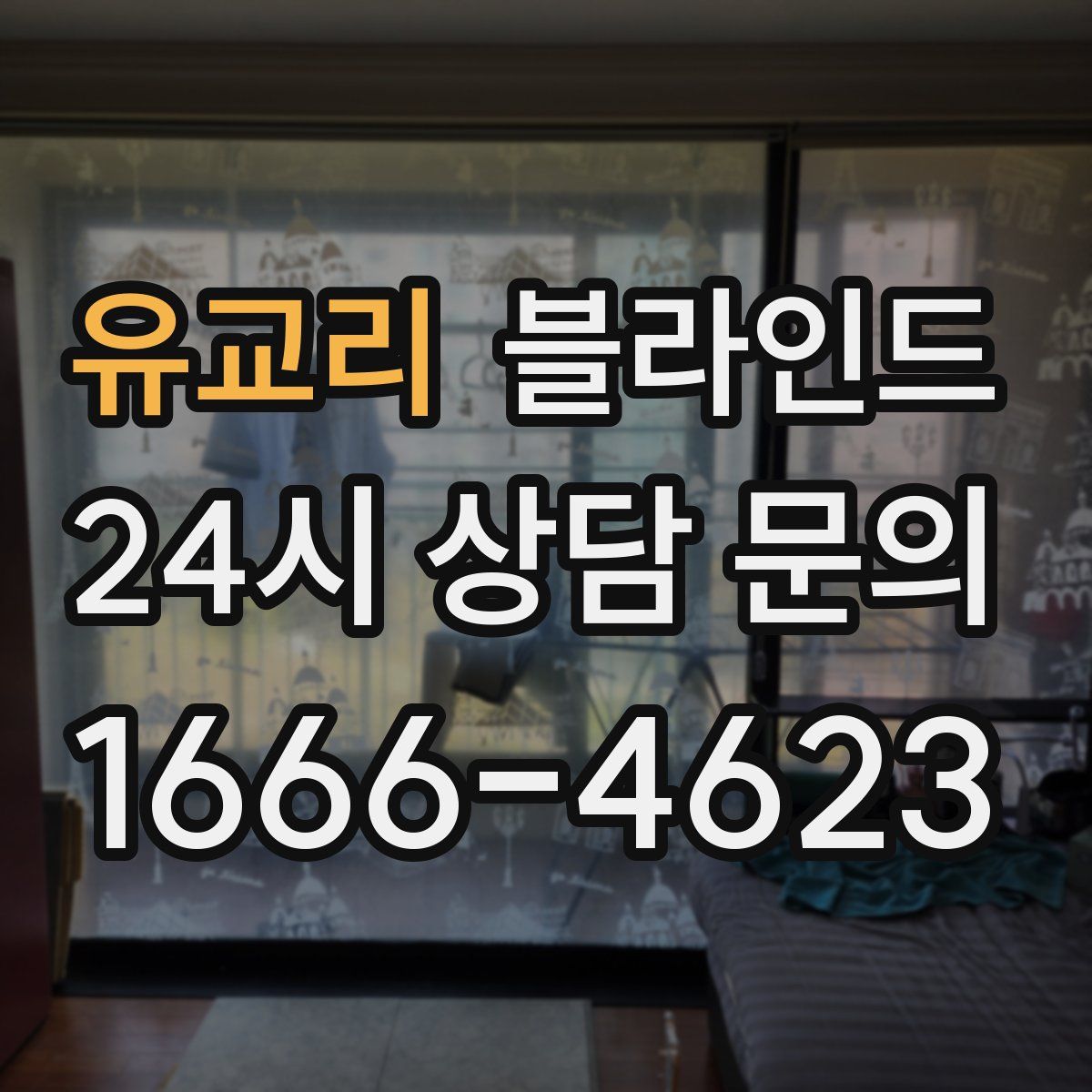 유교리 블라인드