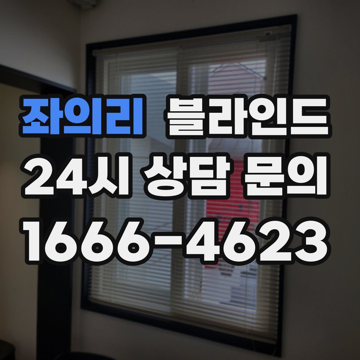 좌의리 블라인드