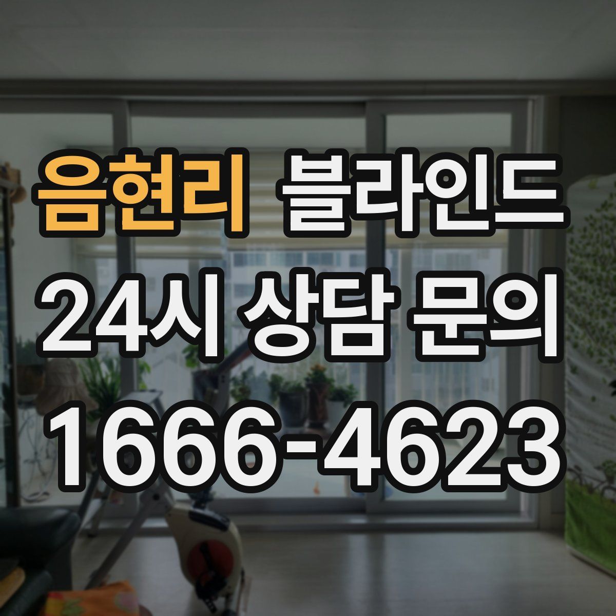 음현리 블라인드