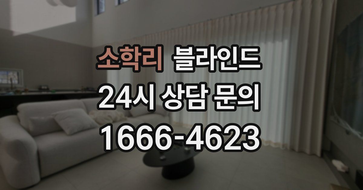 소학리 블라인드