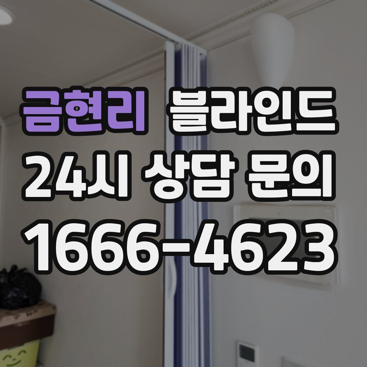 금현리 블라인드