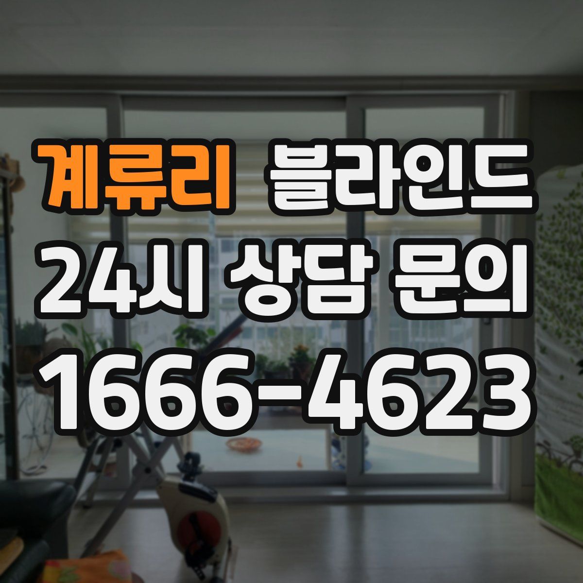 계류리 블라인드