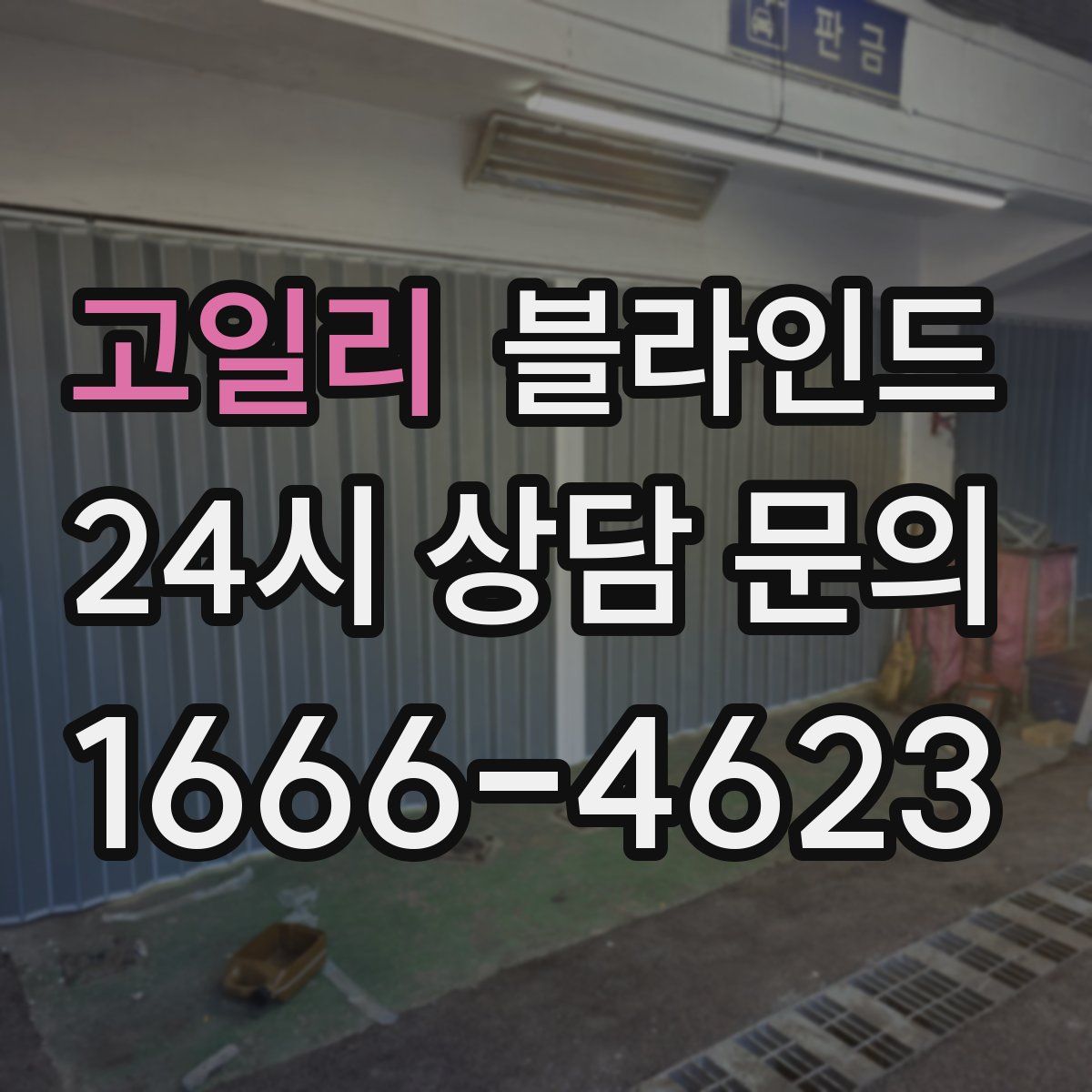 고일리 블라인드