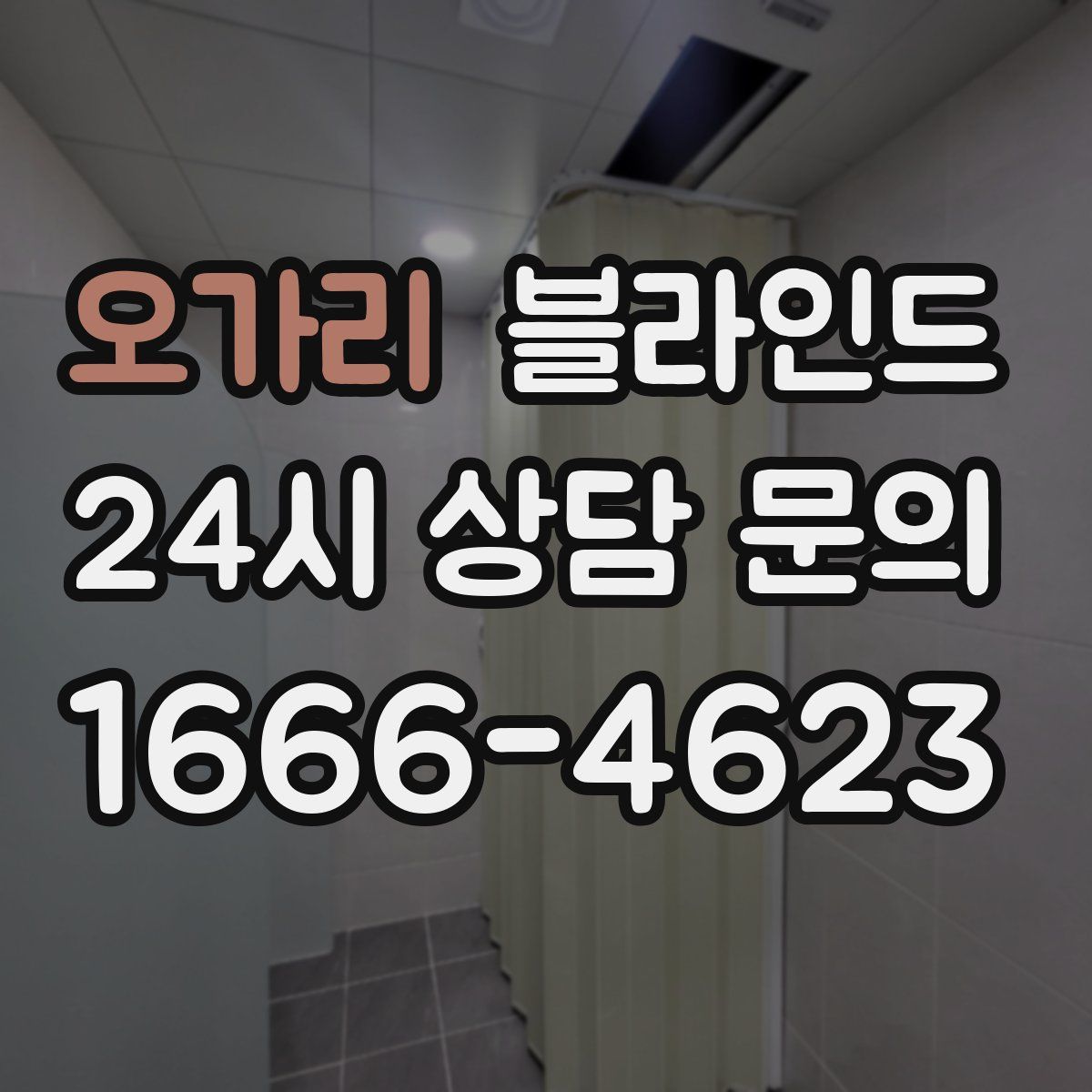 오가리 블라인드