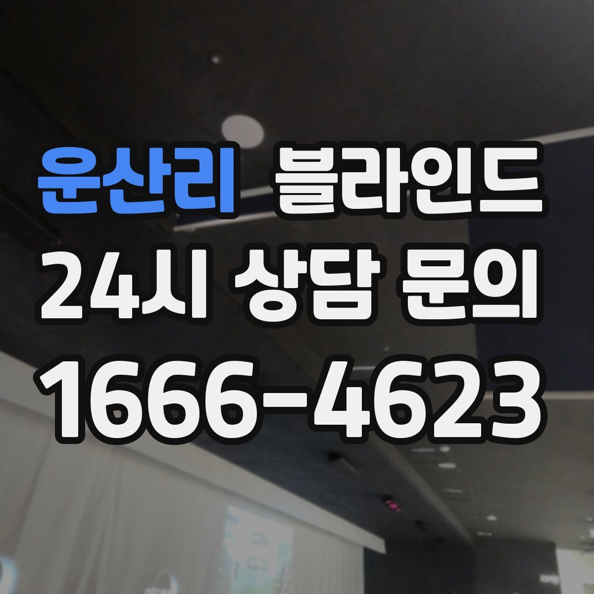 운산리 블라인드