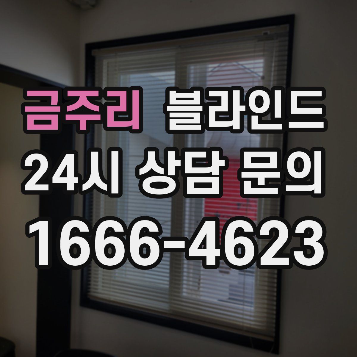 금주리 블라인드