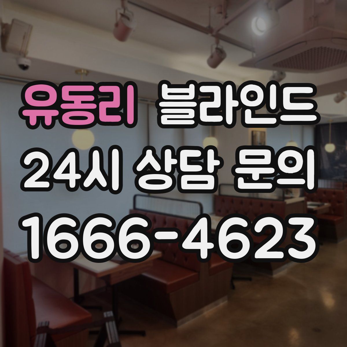 유동리 블라인드