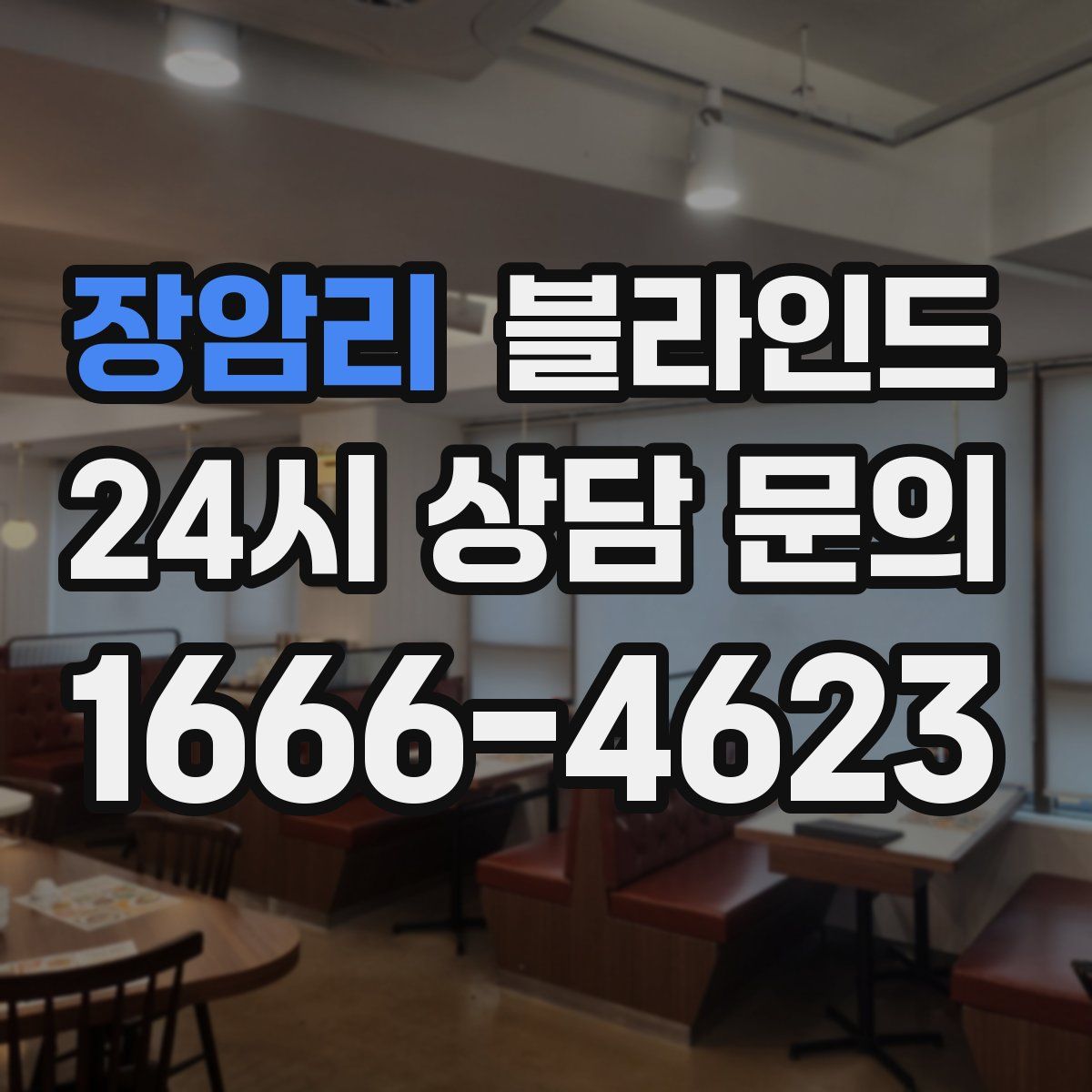 장암리 블라인드