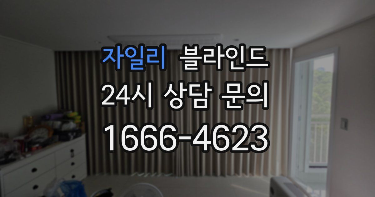자일리 블라인드