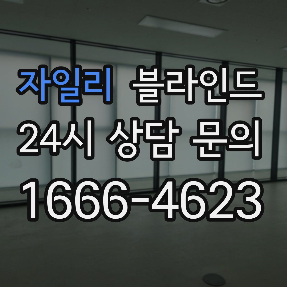 자일리 블라인드