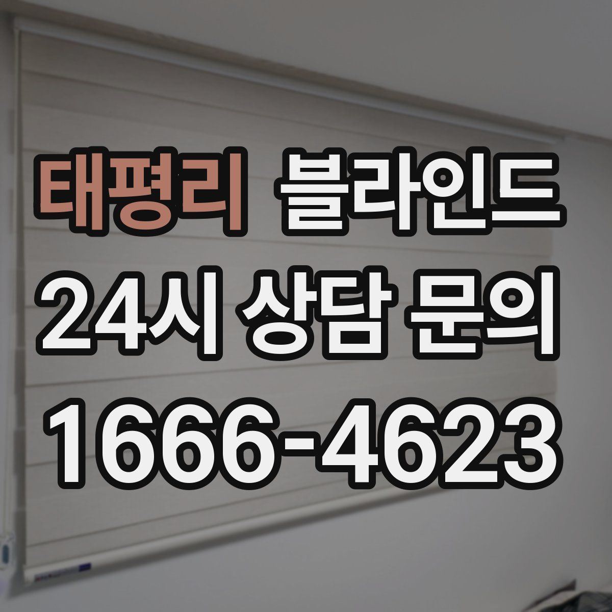 태평리 블라인드