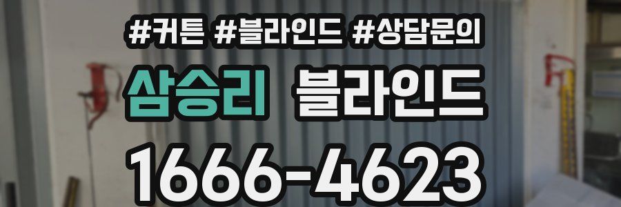 삼승리 블라인드
