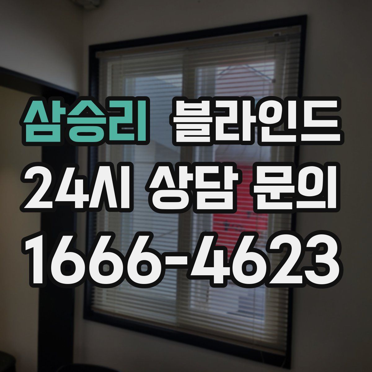 삼승리 블라인드