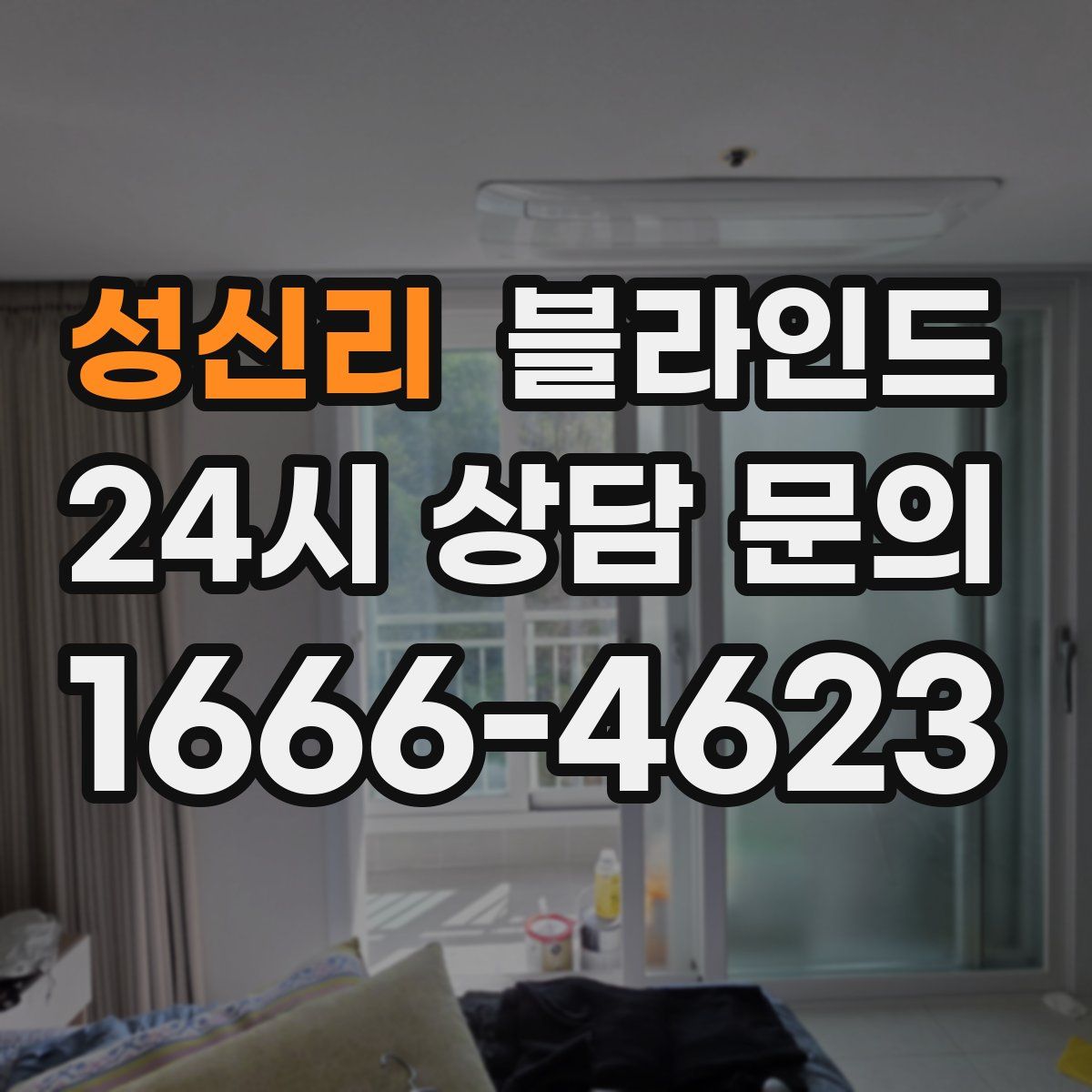 성신리 블라인드