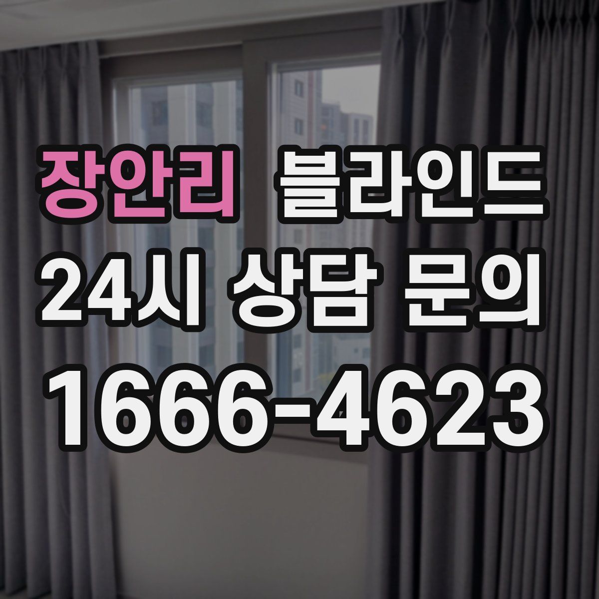 장안리 블라인드