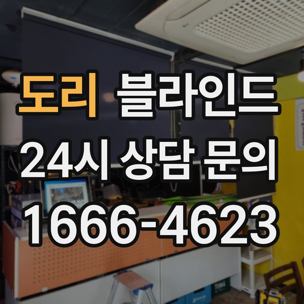 도리 블라인드