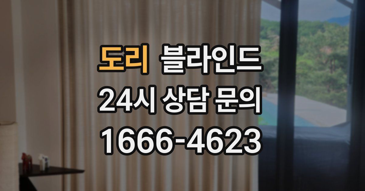 도리 블라인드
