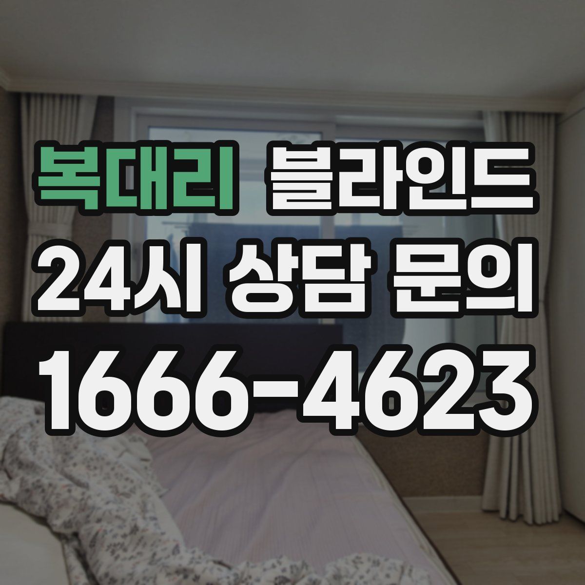 복대리 블라인드