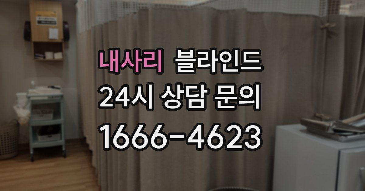 내사리 블라인드