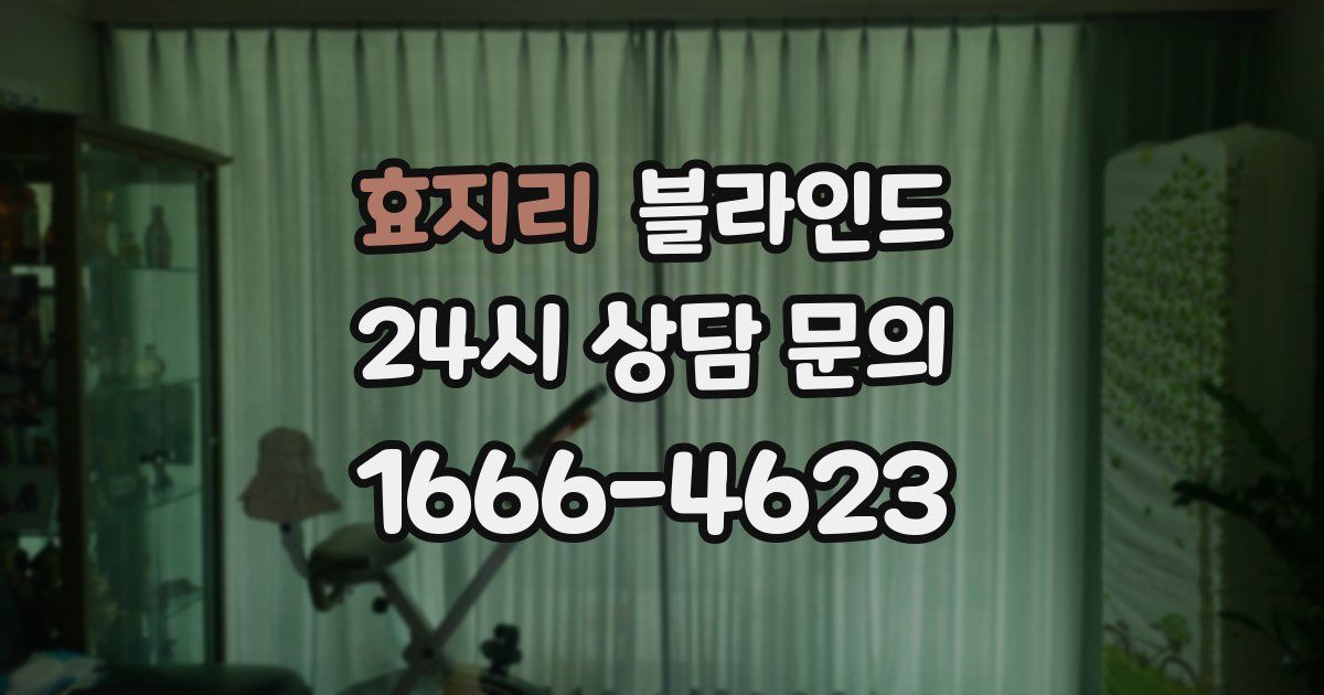 효지리 블라인드