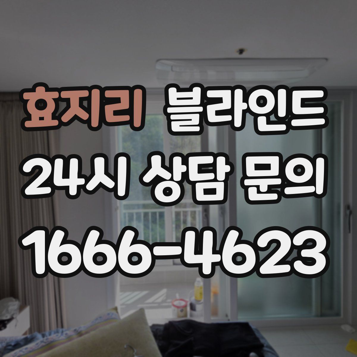 효지리 블라인드