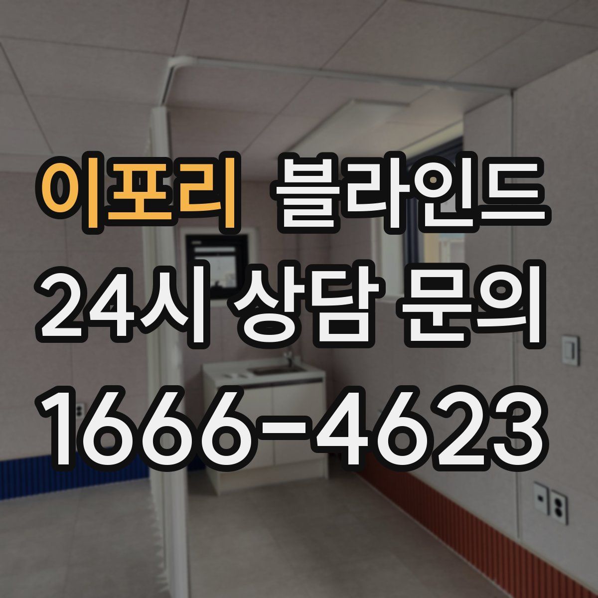 이포리 블라인드