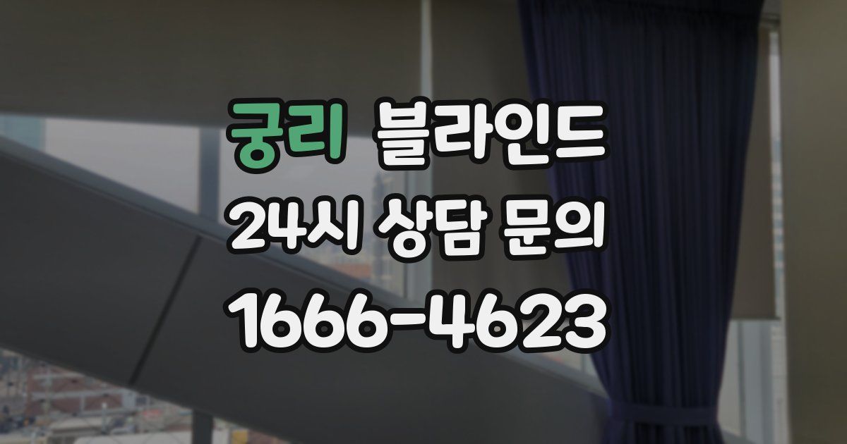 궁리 블라인드