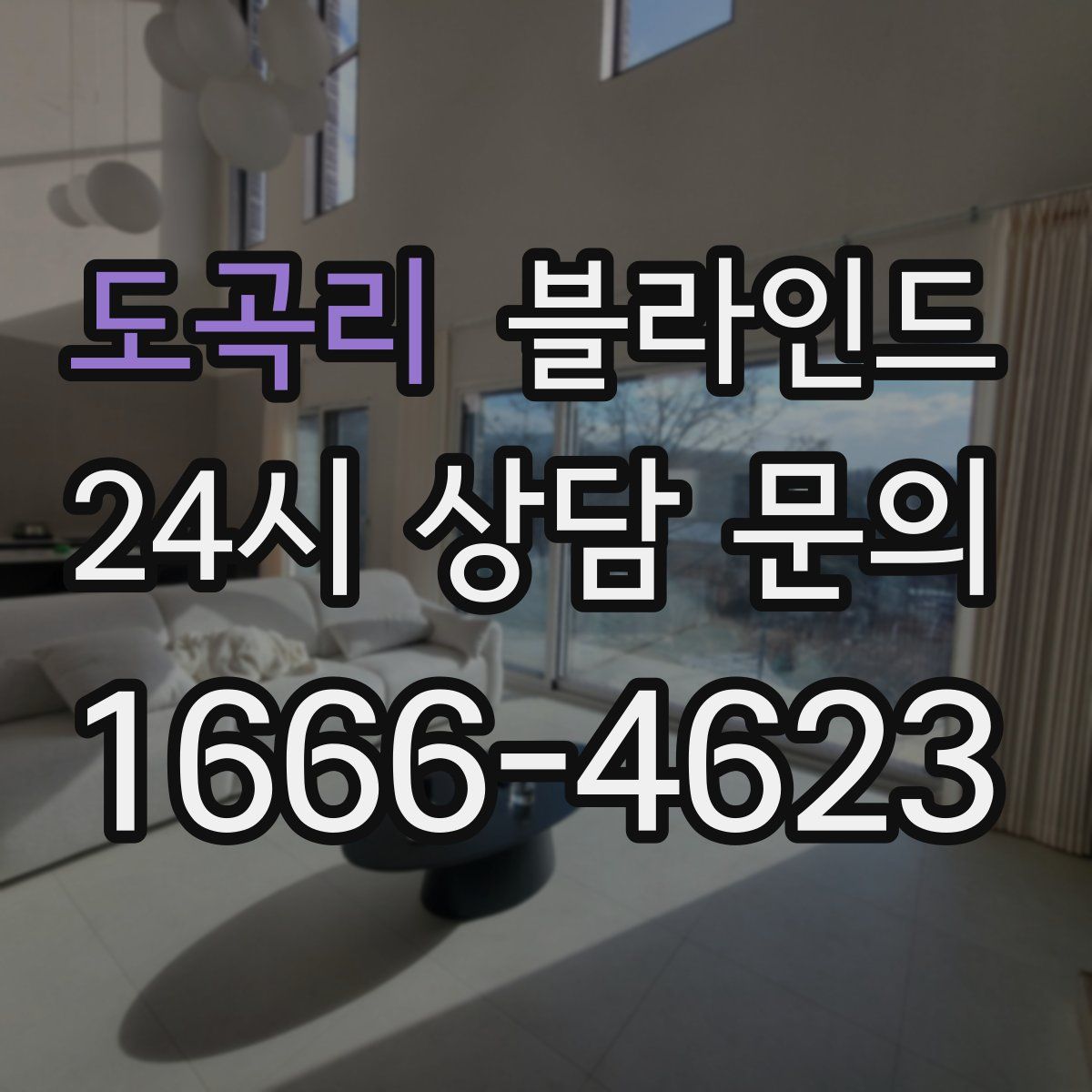 도곡리 블라인드