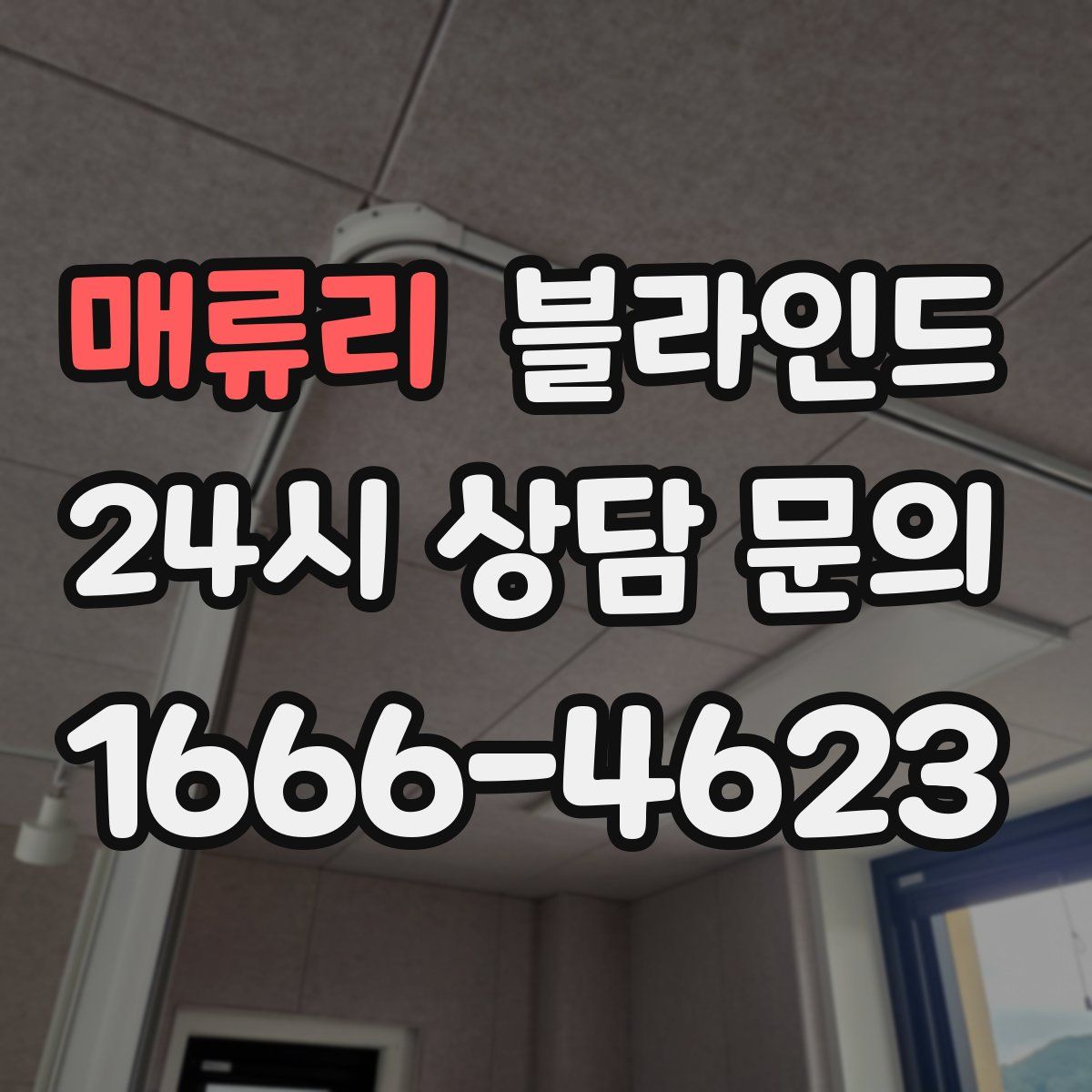 매류리 블라인드