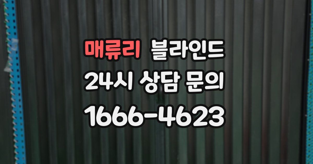 매류리 블라인드