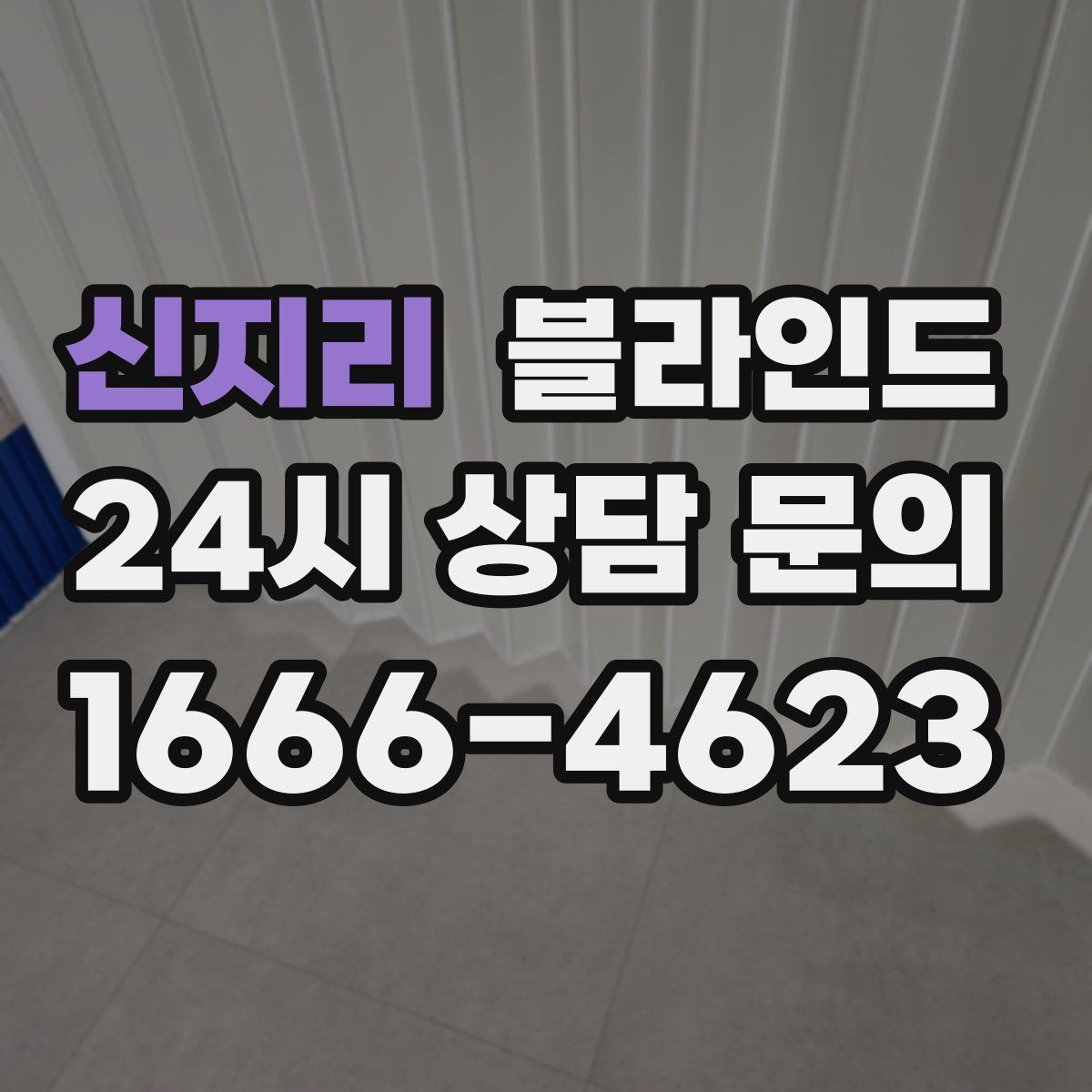 신지리 블라인드
